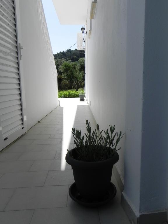 Appartamento Explorer's Rest *